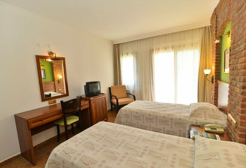 스탠다드 룸 산 전망, Natur Med Hot Springs And Health Resort