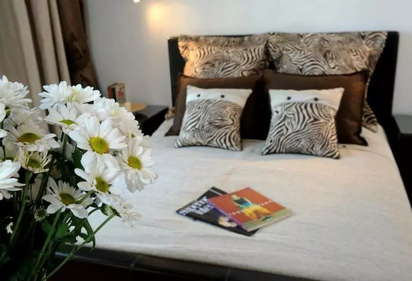 Comfort Single Room