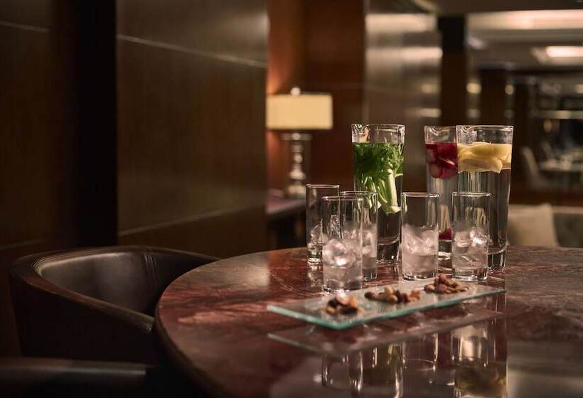 سوئیت ریاست جمهوری 2 خوابه, The Meydan Hotel Dubai