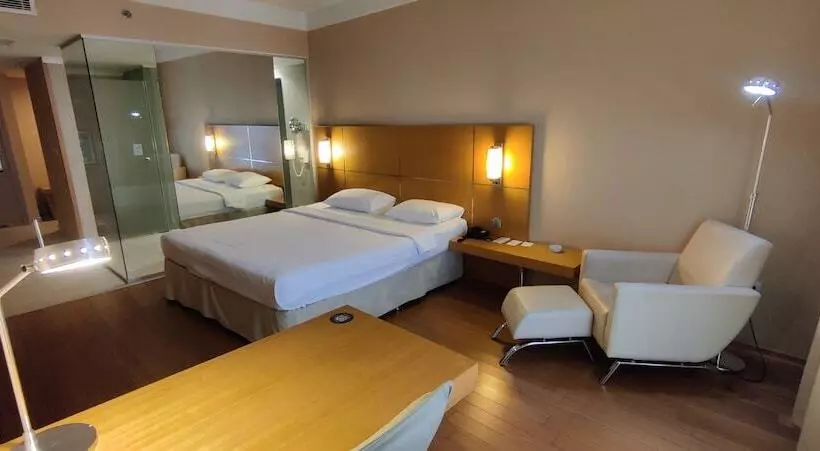 اتاق لوکس, Anemon Hotel Malatya