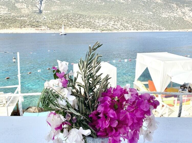 オーシャンビュースタンダードルーム, Club Hotel Barbarossa