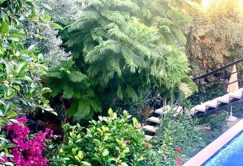 ビラホテル１ベッドルーム, Club Hotel Barbarossa