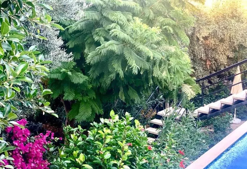 ویلای 1 خوابه, Club Hotel Barbarossa