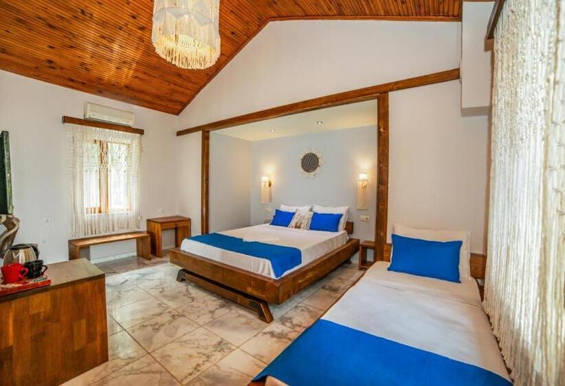 스탠다드 룸, Dalya Life