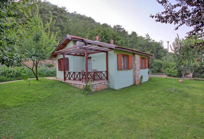 스위트, Dalya Life