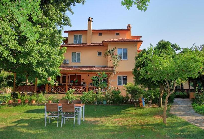 강 전망 스위트, Dalya Life