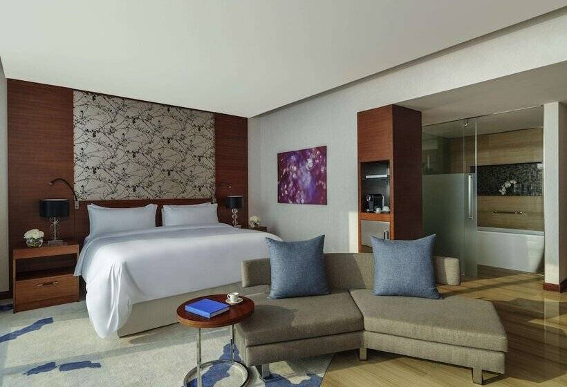 غرفة قياسية مطلّة علي النهر, Fairmont Bab Al Bahr