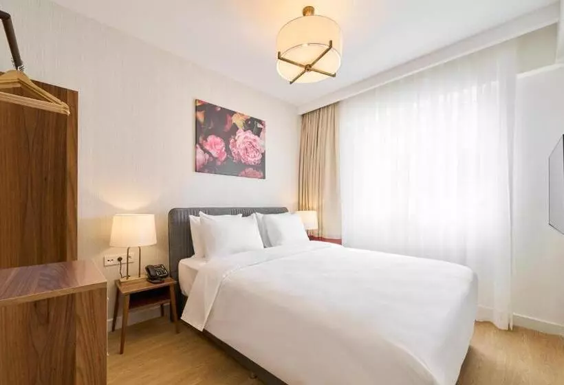 1 Bedroom Apartment