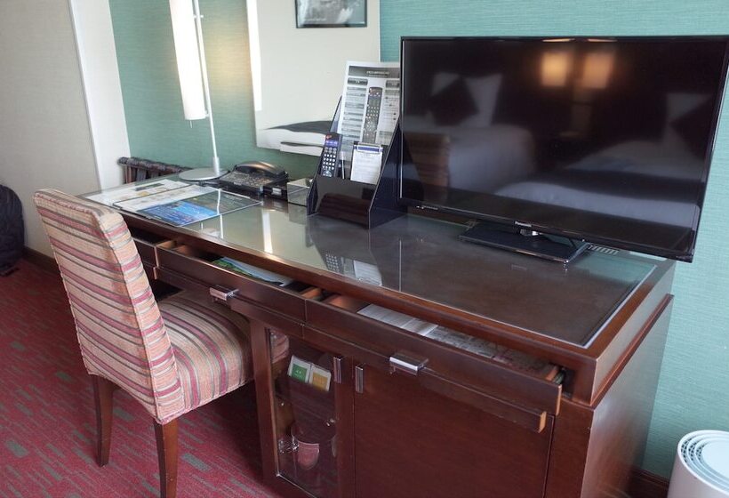 חדר סטנדרט לשלושה, Trusty Tokyo Bayside