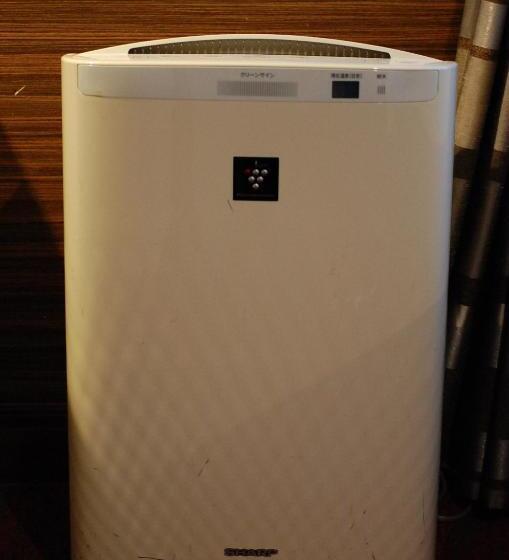 חדר סטנדרט, Trusty Tokyo Bayside