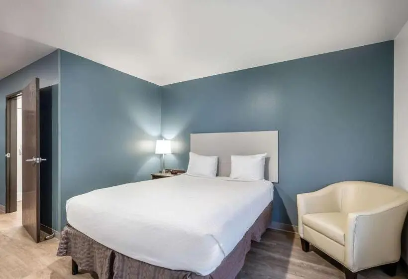 身障者適用キングサイズベッドルーム, Woodspring Suites Gurnee  Chicago