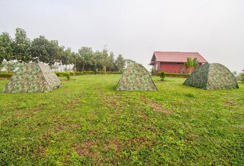 Standard Tent, Phoomtada Homestay