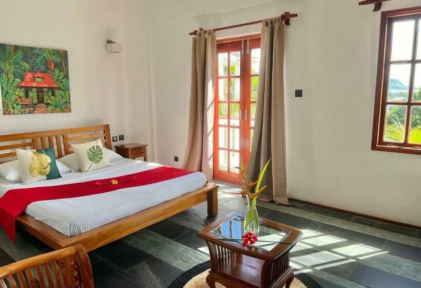 Standard Studio, Hilltop Boutique