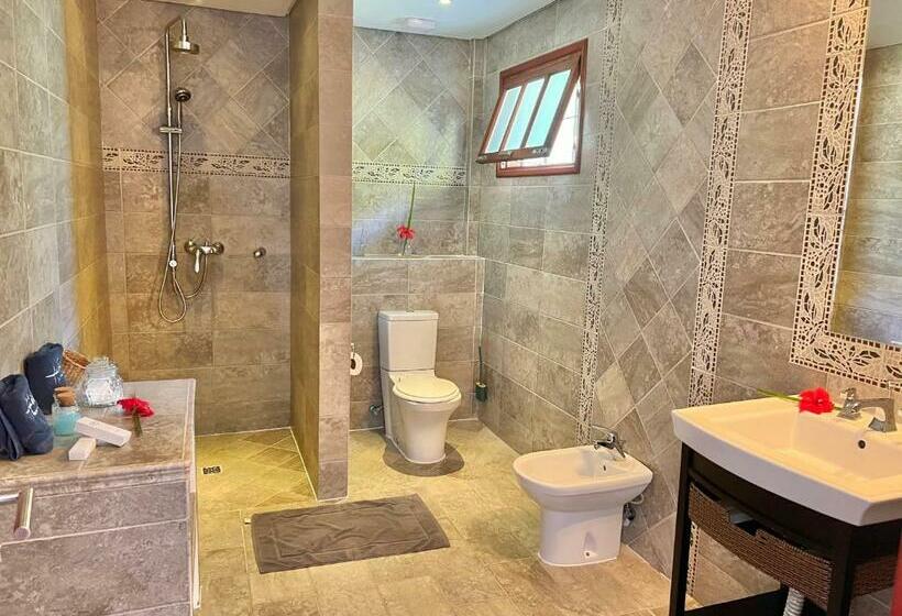 Standard Studio, Hilltop Boutique