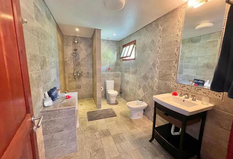 Standard Studio, Hilltop Boutique