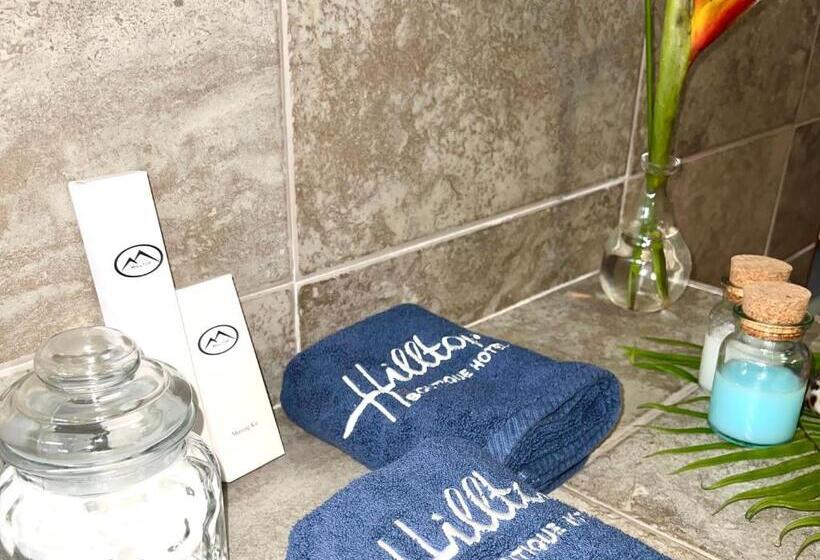 1 Sovrums Deluxe Lägenhet, Hilltop Boutique