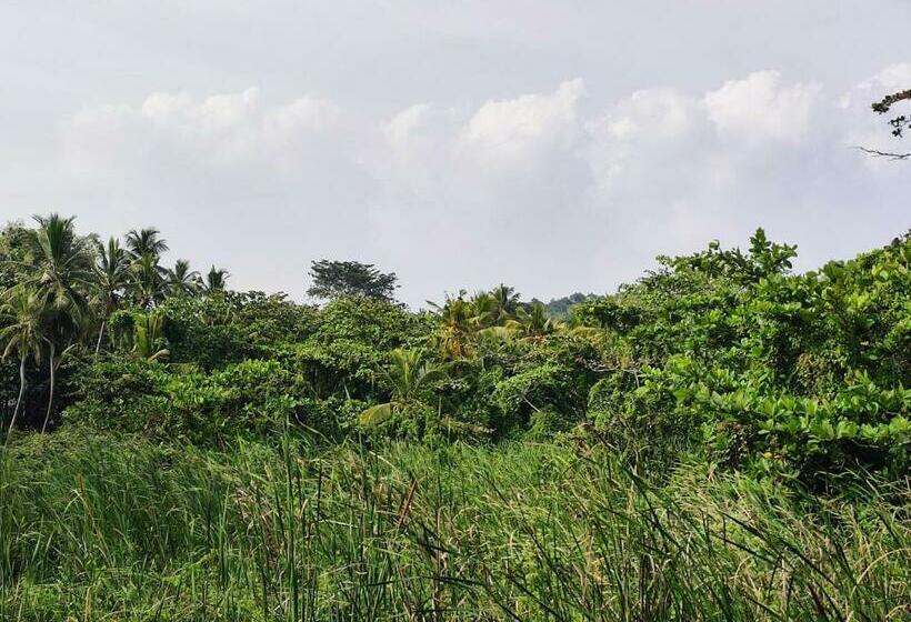 חדר אקונומי, Schatzi S Hideaway