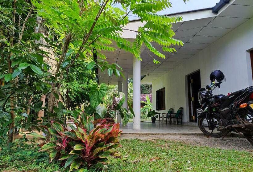 חדר אקונומי, Schatzi S Hideaway