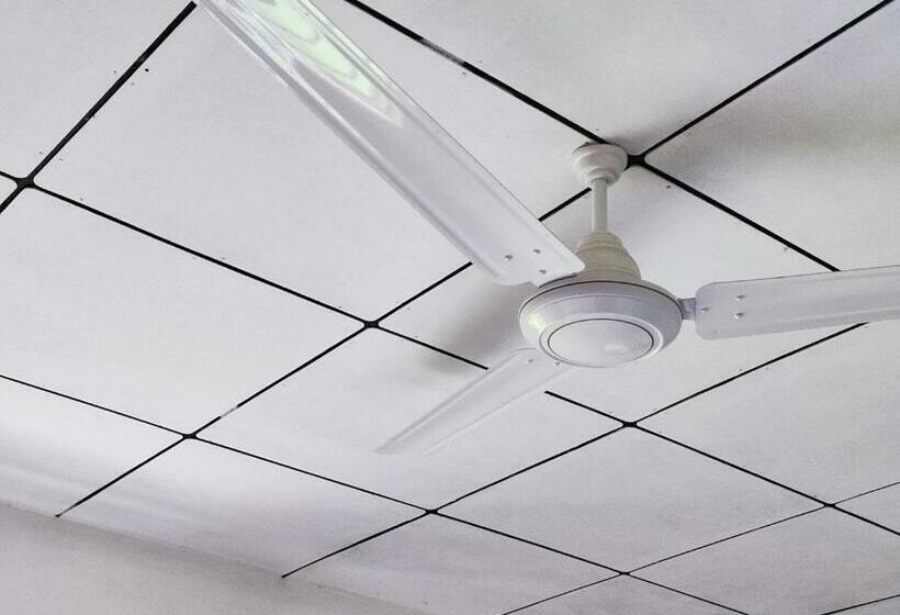 חדר אקונומי, Schatzi S Hideaway