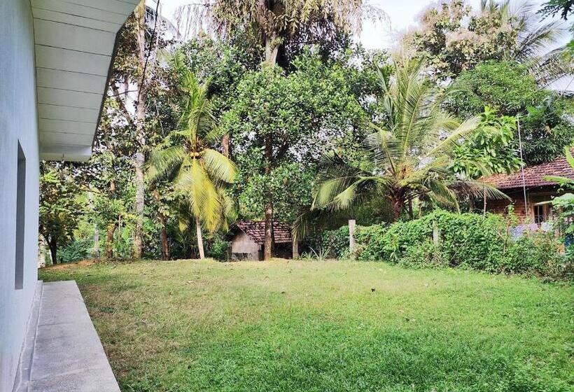 חדר אקונומי, Schatzi S Hideaway