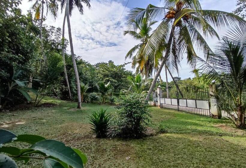 חדר אקונומי, Schatzi S Hideaway