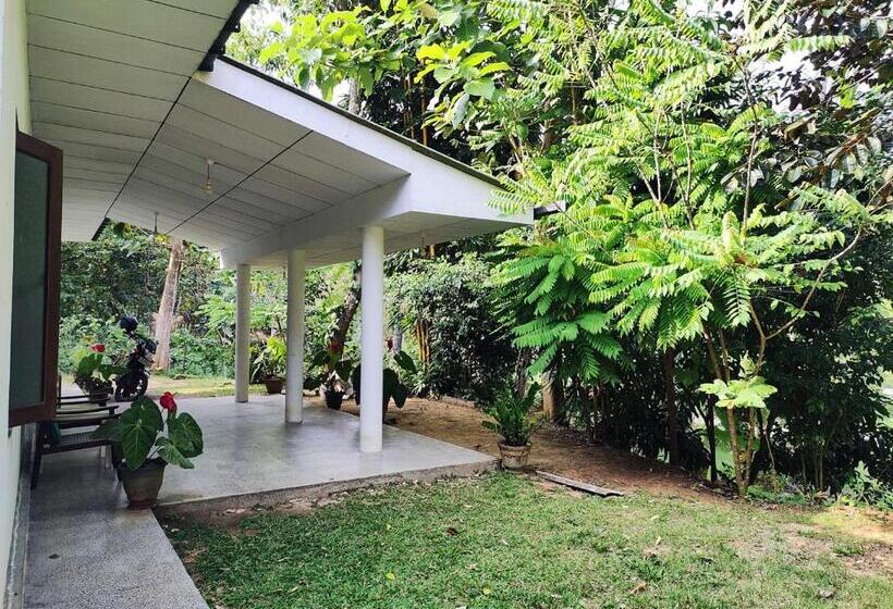 חדר אקונומי, Schatzi S Hideaway