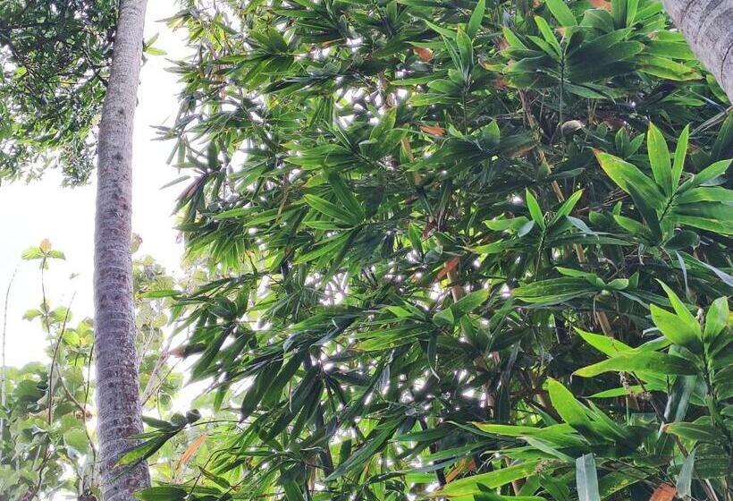 חדר אקונומי, Schatzi S Hideaway