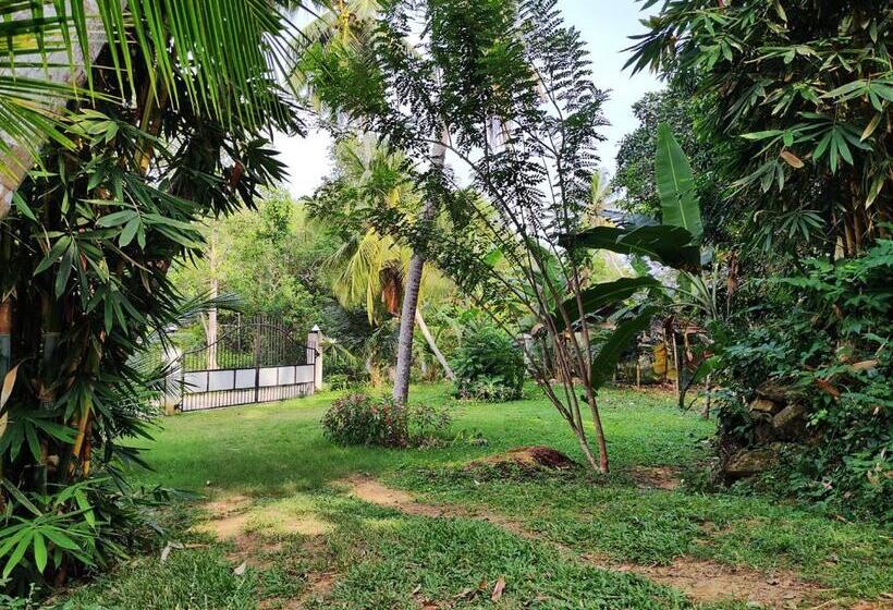 חדר סטנדרט, Schatzi S Hideaway