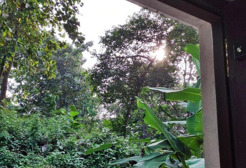 חדר סטנדרט, Schatzi S Hideaway