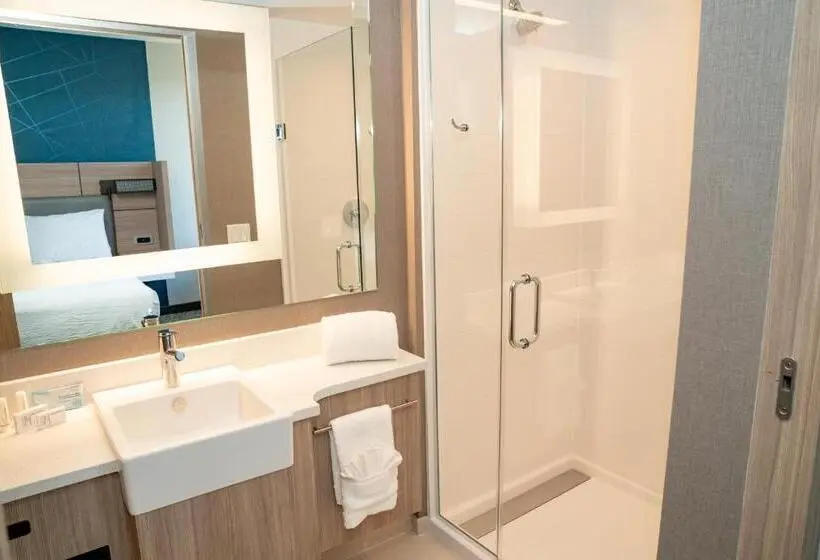 キングサイズベッドのスイートルーム, Springhill Suites By Marriott Woodbridge