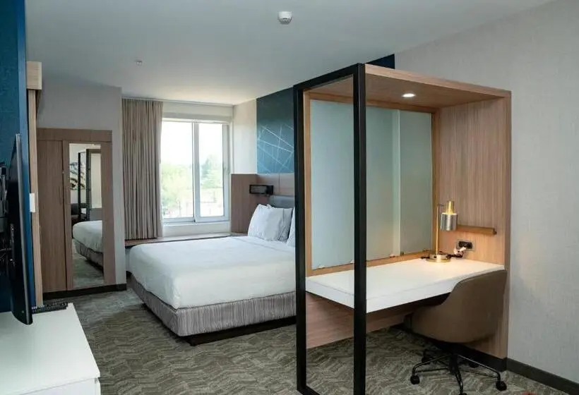 キングサイズベッドのスイートルーム, Springhill Suites By Marriott Woodbridge