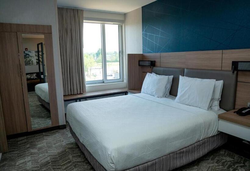 스위트 킹사이즈 침대, Springhill Suites By Marriott Woodbridge