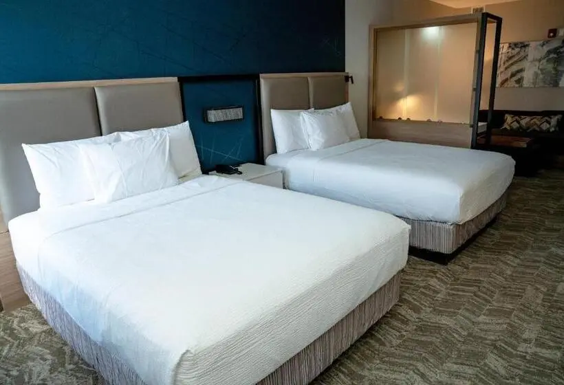 スイート, Springhill Suites By Marriott Woodbridge