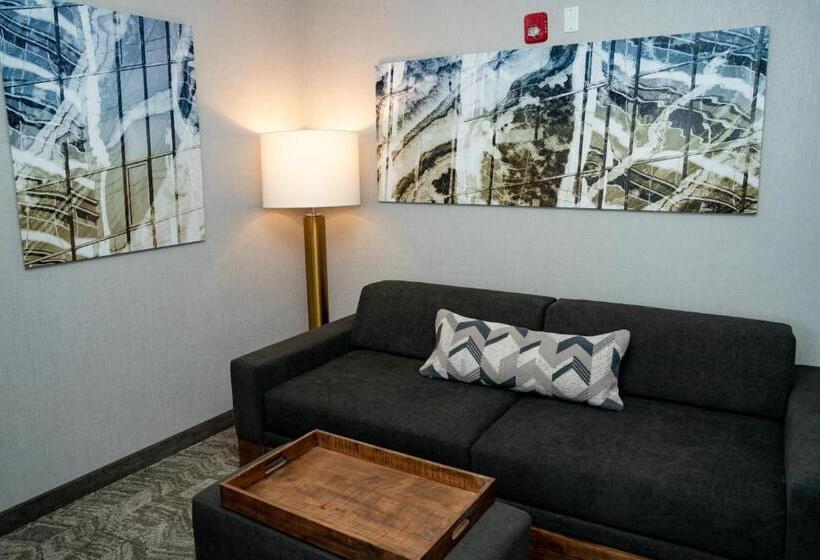 장애인을 위한 스위트, Springhill Suites By Marriott Woodbridge