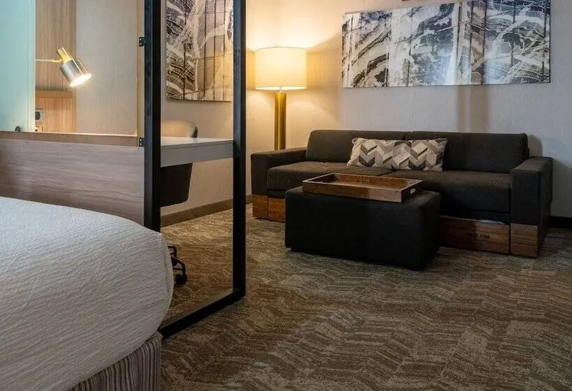 スイート, Springhill Suites By Marriott Woodbridge