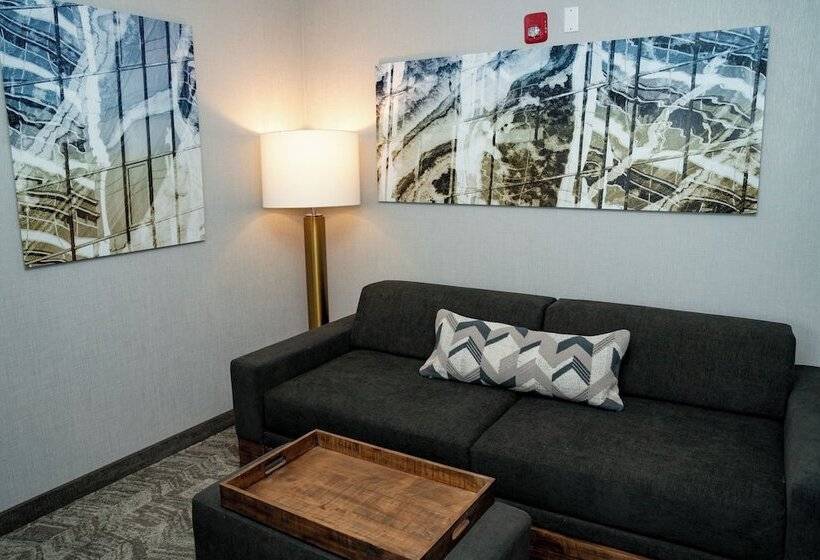 스위트, Springhill Suites By Marriott Woodbridge