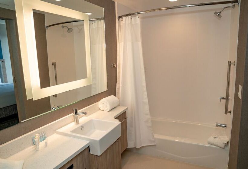 جناح لذوى الاحتياجات الخاصة, Springhill Suites By Marriott Woodbridge