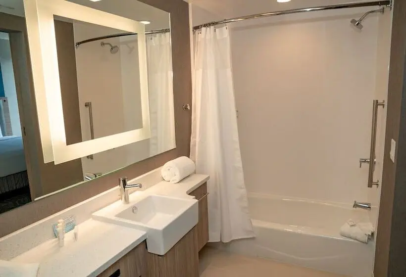 身障者適用スイートルーム, Springhill Suites By Marriott Woodbridge