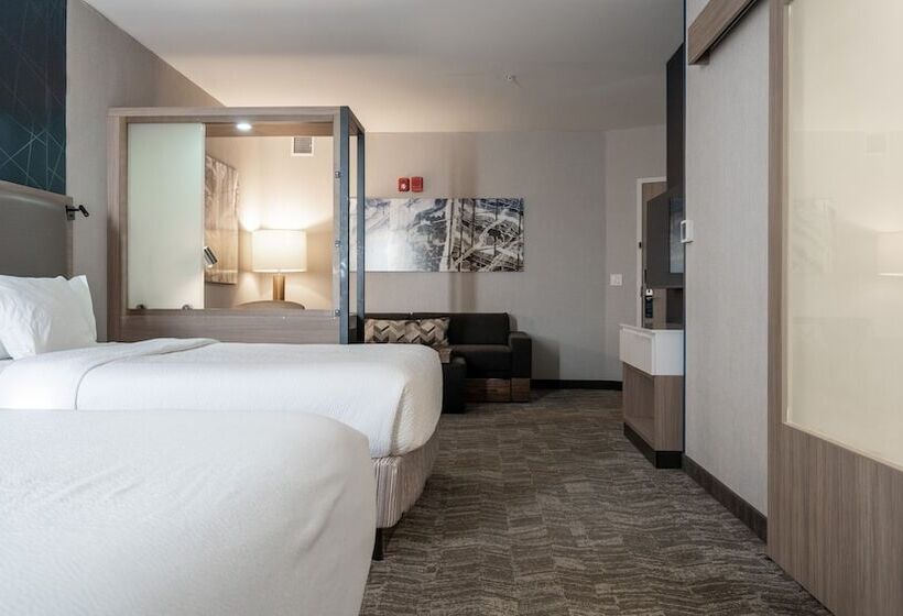 장애인을 위한 스위트, Springhill Suites By Marriott Woodbridge