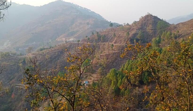 דירת דופלקס בת חדר שינה 1, Blue Pine Orchards   Villas