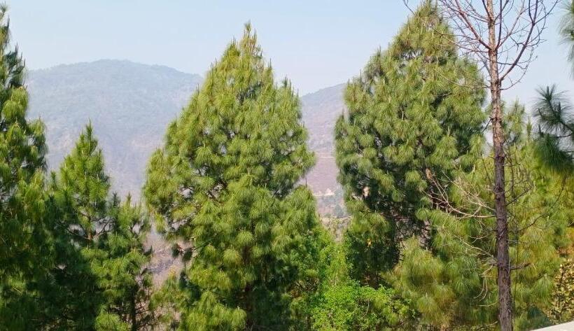 דירת דופלקס בת חדר שינה 1, Blue Pine Orchards   Villas