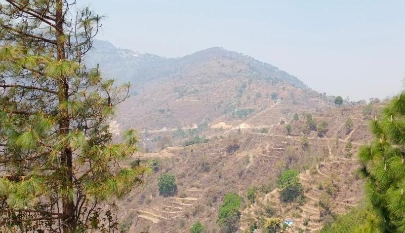 شقة ديلوكس غرفة نوم واحدة, Blue Pine Orchards   Villas