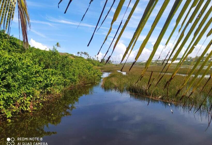 סוויטה, Hostel Amicum