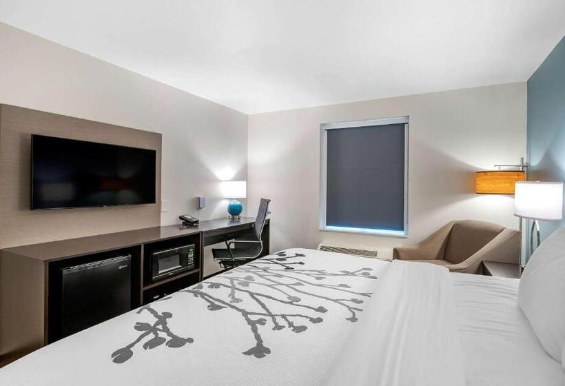 带大床的标准间, Sleep Inn