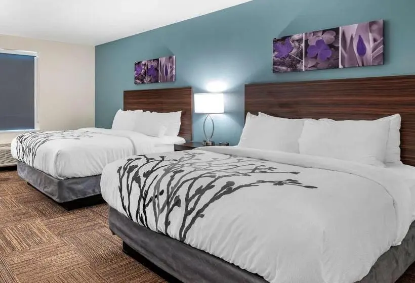 身障者適用スタンダードルーム, Sleep Inn