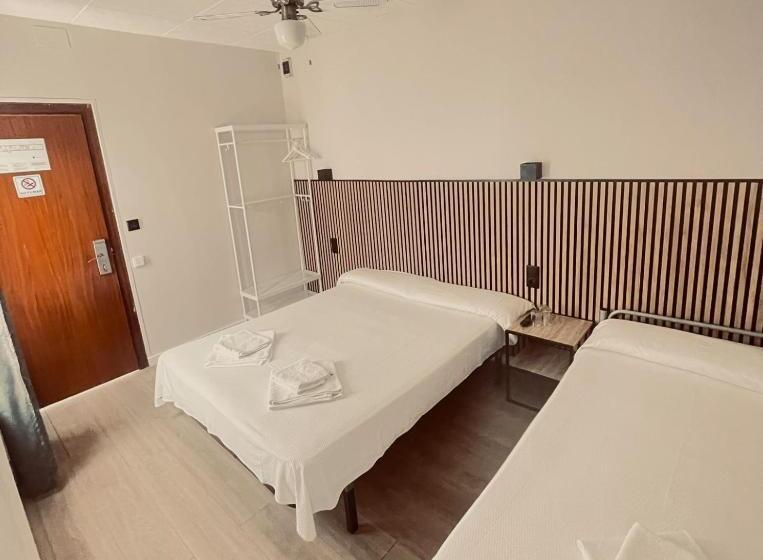 חדר סטנדרט לשלושה, Colibri