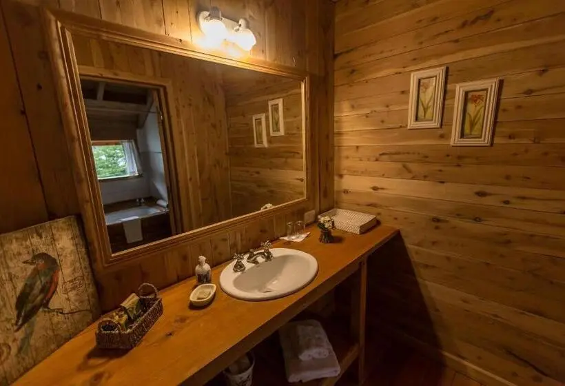 Superior-huone, Aguas Arriba Lodge