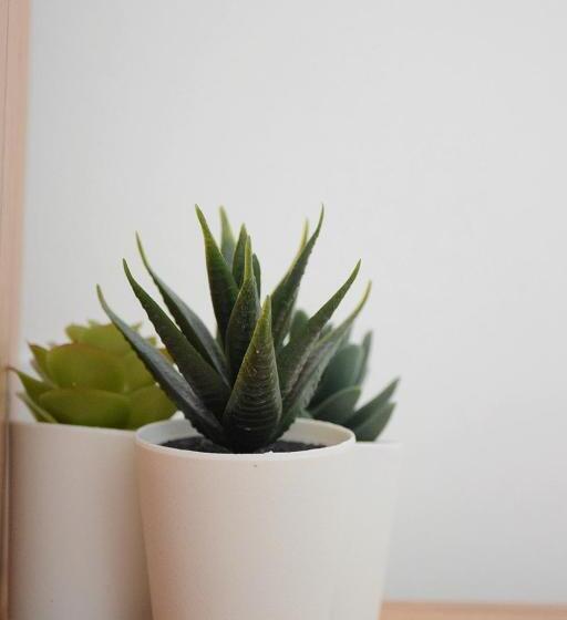 اتاق استاندارد یک نفره, Villa Bella