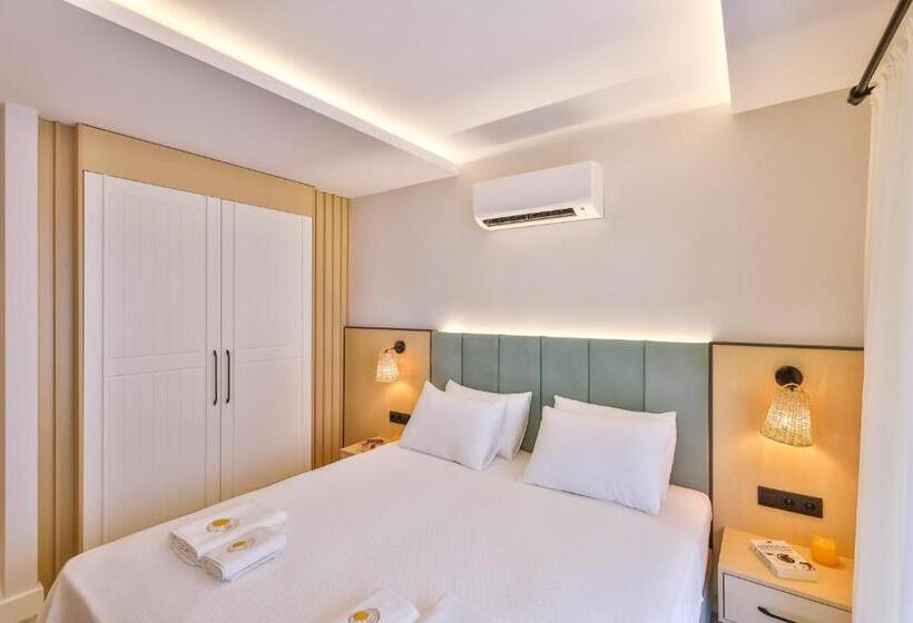 ガーデンビュースタンダードルーム, Sole Vista Homes