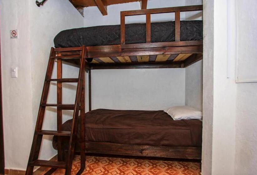اتاق خانوادگی, Casa Autora 40
